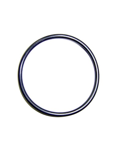 JUNTA TORICA CIERRE CELULA RECAMBIO ASTRALPOOL