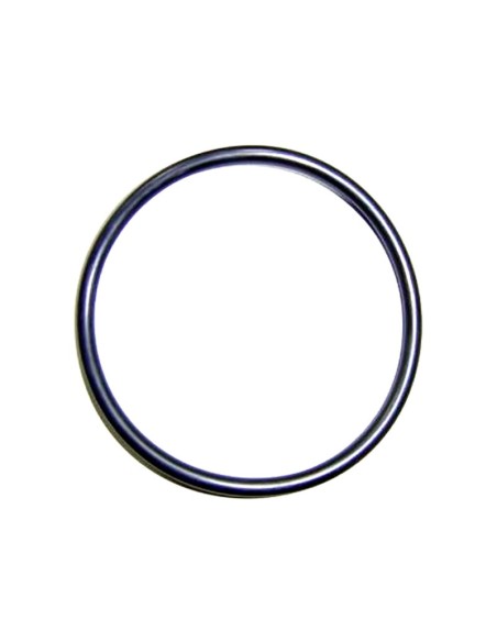 JUNTA TORICA CIERRE CELULA RECAMBIO ASTRALPOOL