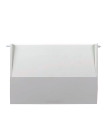 COMPUERTA SKIMMER CON BISAGRA RECAMBIO ASTRALPOOL                                                   