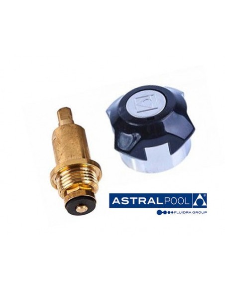 POMO PLASTICO + EJE RECAMBIO ASTRALPOOL                                                             