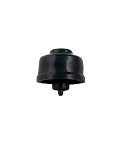 FUELLE PULSADOR RECAMBIO (PARA 09667) ASTRALPOOL                                                    