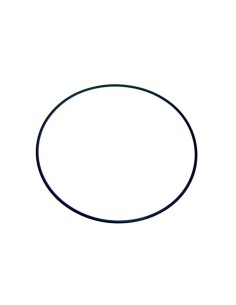 JUNTA ARO FIJACION VALVULA RECAMBIO ASTRALPOOL                                                      