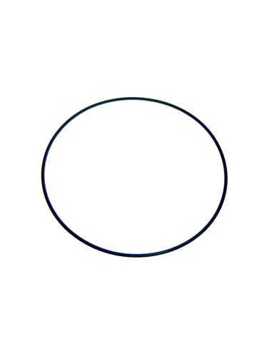 JUNTA ARO FIJACION VALVULA RECAMBIO ASTRALPOOL                                                      