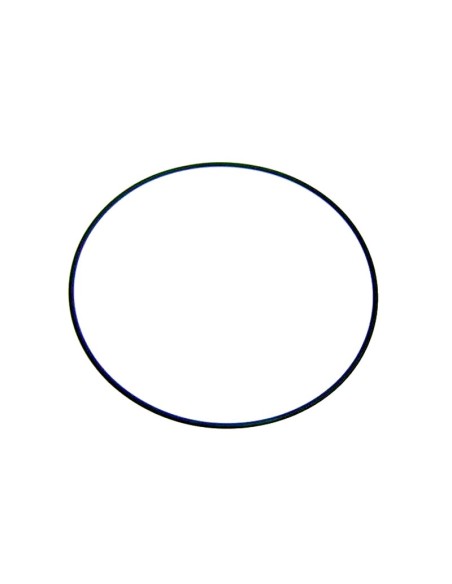 JUNTA ARO FIJACION VALVULA RECAMBIO ASTRALPOOL                                                      