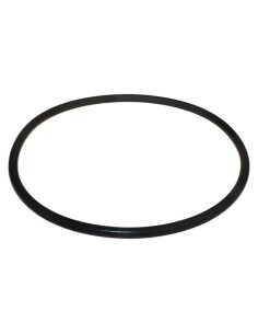 JUNTA TAPA DOSIFICADOR 24429 RECAMBIOS ASTRALPOOL                                                   