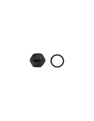 TAPON RODETE M-10 DERECHA RECAMBIO ASTRALPOOL                                                       