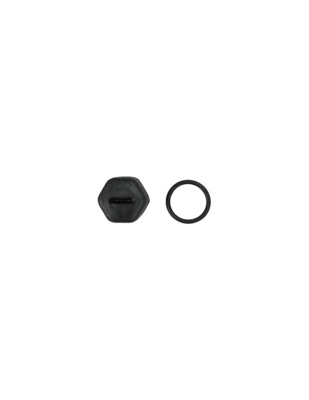 TAPON RODETE M-10 DERECHA RECAMBIO ASTRALPOOL                                                       