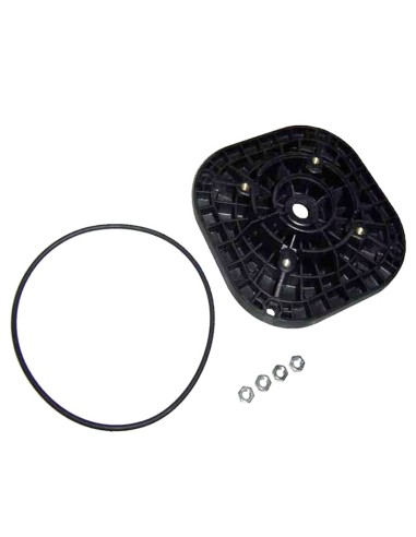 BRIDA MOTOR C 71 RECAMBIO ASTRALPOOL