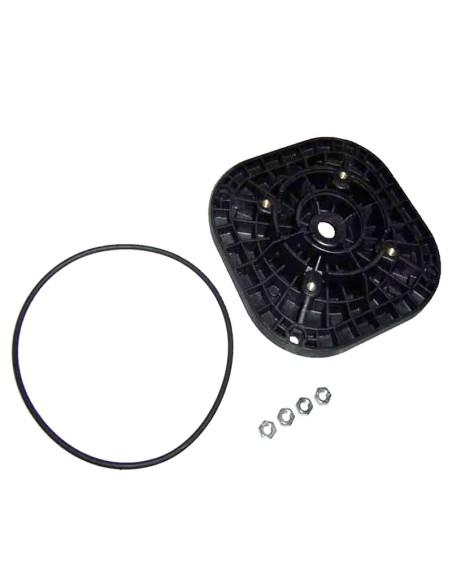 BRIDA MOTOR C 71 RECAMBIO ASTRALPOOL