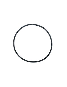 JUNTA TORICA V.PLUS SILENT RECAMBIO ASTRALPOOL                                                      