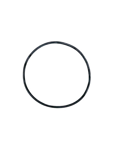 JUNTA TORICA V.PLUS SILENT RECAMBIO ASTRALPOOL                                                      