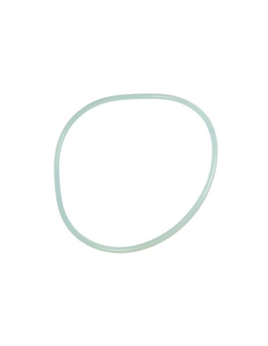 JUNTA TAPA FILTRO VESUBIO RECAMBIO ASTRALPOOL