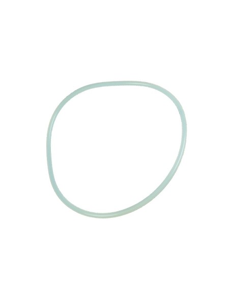 JUNTA TAPA FILTRO VESUBIO RECAMBIO ASTRALPOOL