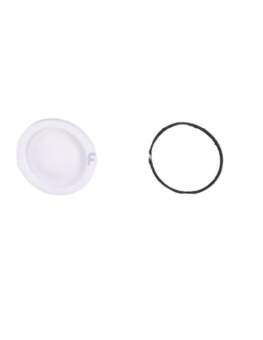 MEMBRANA COMPLETA (PARA COD. 33839) RECAMBIO ORIGINAL ASTRALPOOL                                    