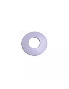 ARANDELA PISTON 32365 - 32366 RECAMBIO ORIGINAL ASTRALPOOL