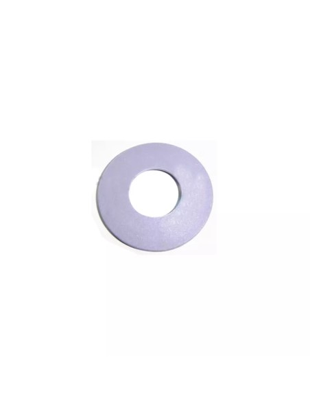 ARANDELA PISTON 32365 - 32366 RECAMBIO ORIGINAL ASTRALPOOL