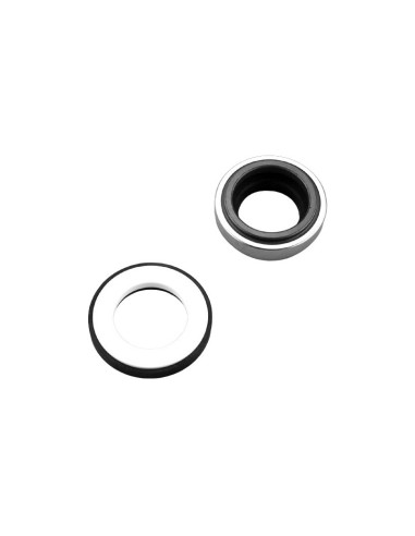 JUNTA MECANICA + SELLO Y ESTOPADA RECAMBIO ASTRALPOOL                                               