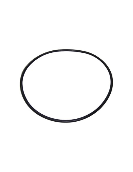 JUNTA TORICA BOMBA RECAMBIO ASTRALPOOL                                                              