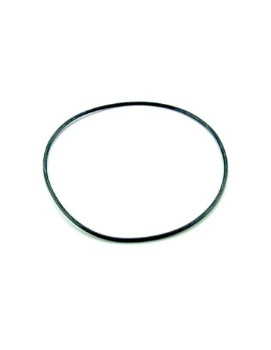 JUNTA TORICA 255X4 TAPA FILTRO RECAMBIO ASTRALPOOL                                                  