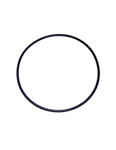 JUNTA TORICA 118X5 RECAMBIO ASTRALPOOL                                                              