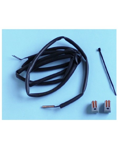 SONDA TEMPERATURA SAV/Z300/PPFREM/ZS500 RECAMBIO ZODIAC